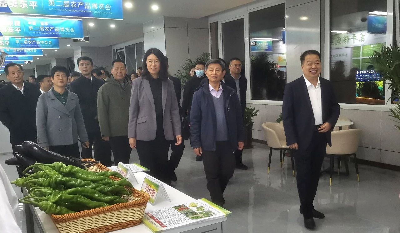 1730280557634480.jpg 2.jpg