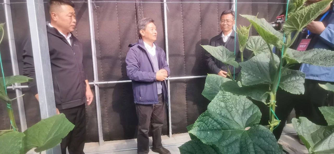 1730280566167853.jpg 3.jpg