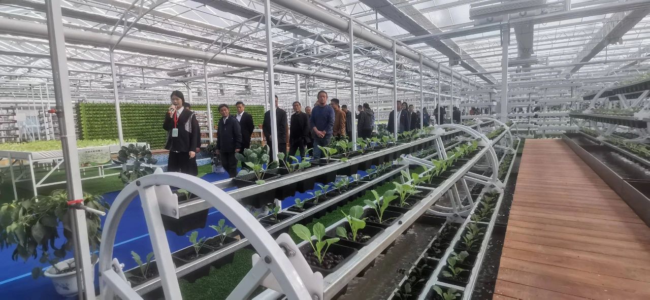 1730280598649776.jpg 4.jpg