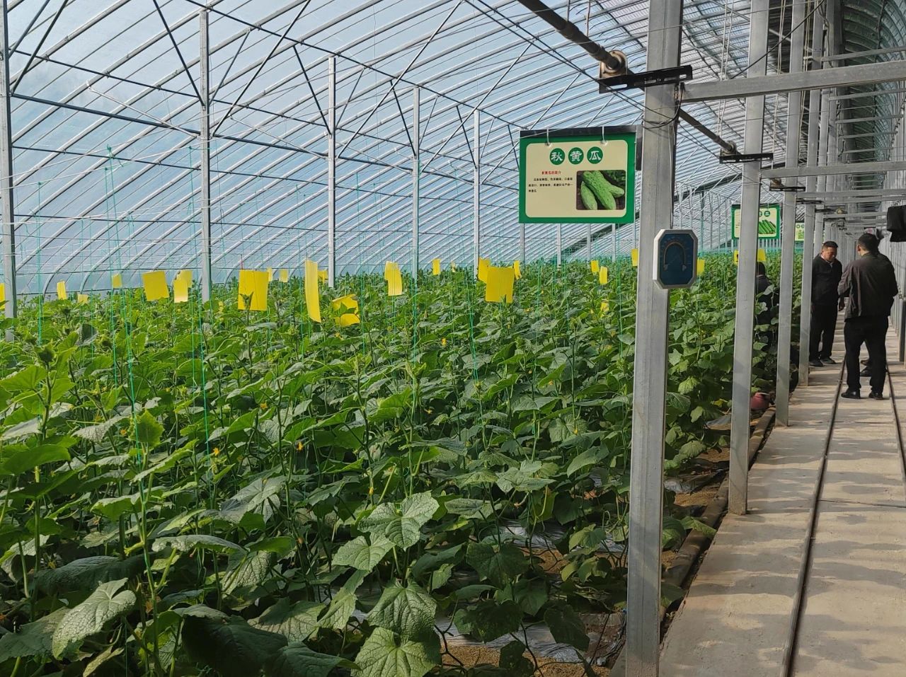 1730280637914907.jpg 5.jpg