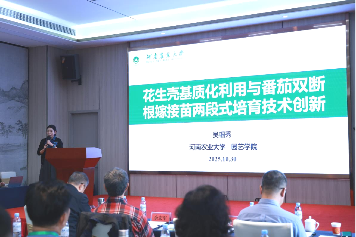 1762252748760901.png 图片7.png