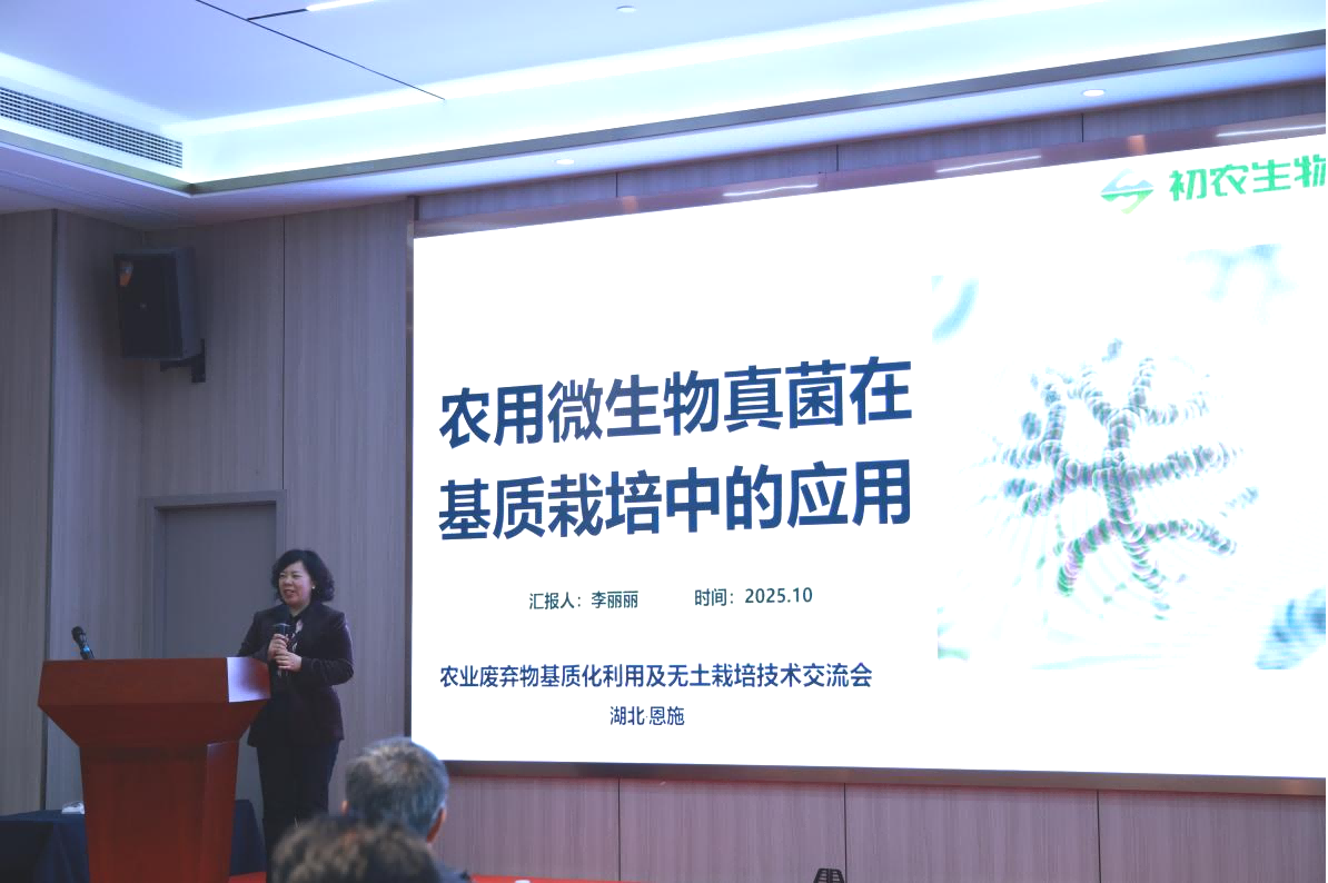 1762252786231783.png 图片9.png